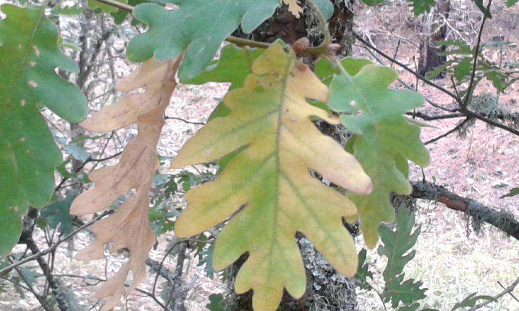 El Rincon De Monasterio ξενώνας Εξωτερικό φωτογραφία